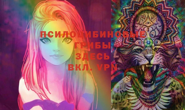 apvp Михайлов